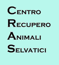incarico